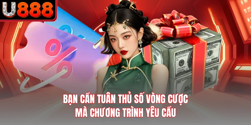 Bạn cần tuân thủ số vòng cược mà chương trình yêu cầu