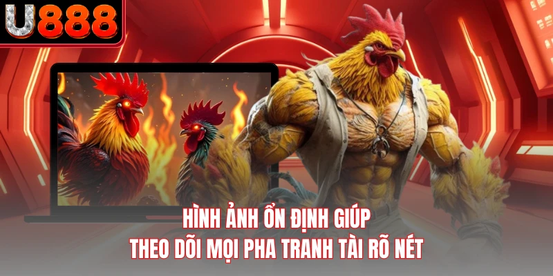 Hình ảnh ổn định giúp theo dõi mọi pha tranh tài rõ nét